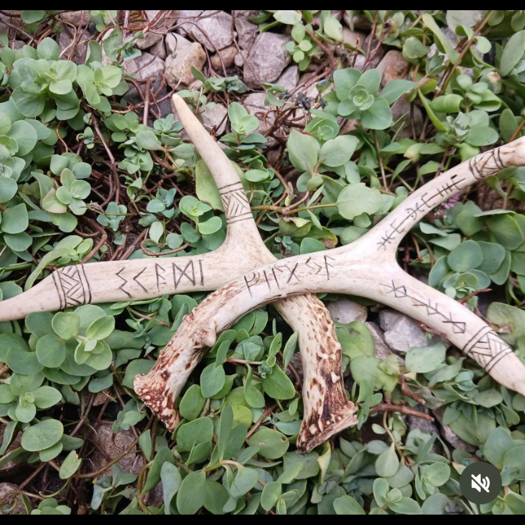 Carved Antler