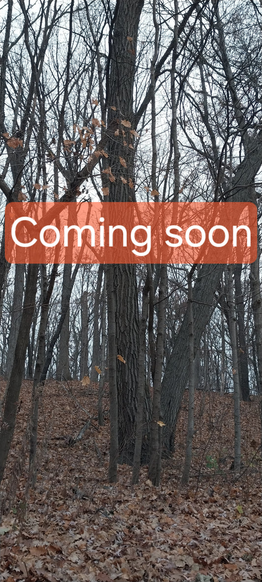 Black River Rock hand carved rune set w/leather pouch