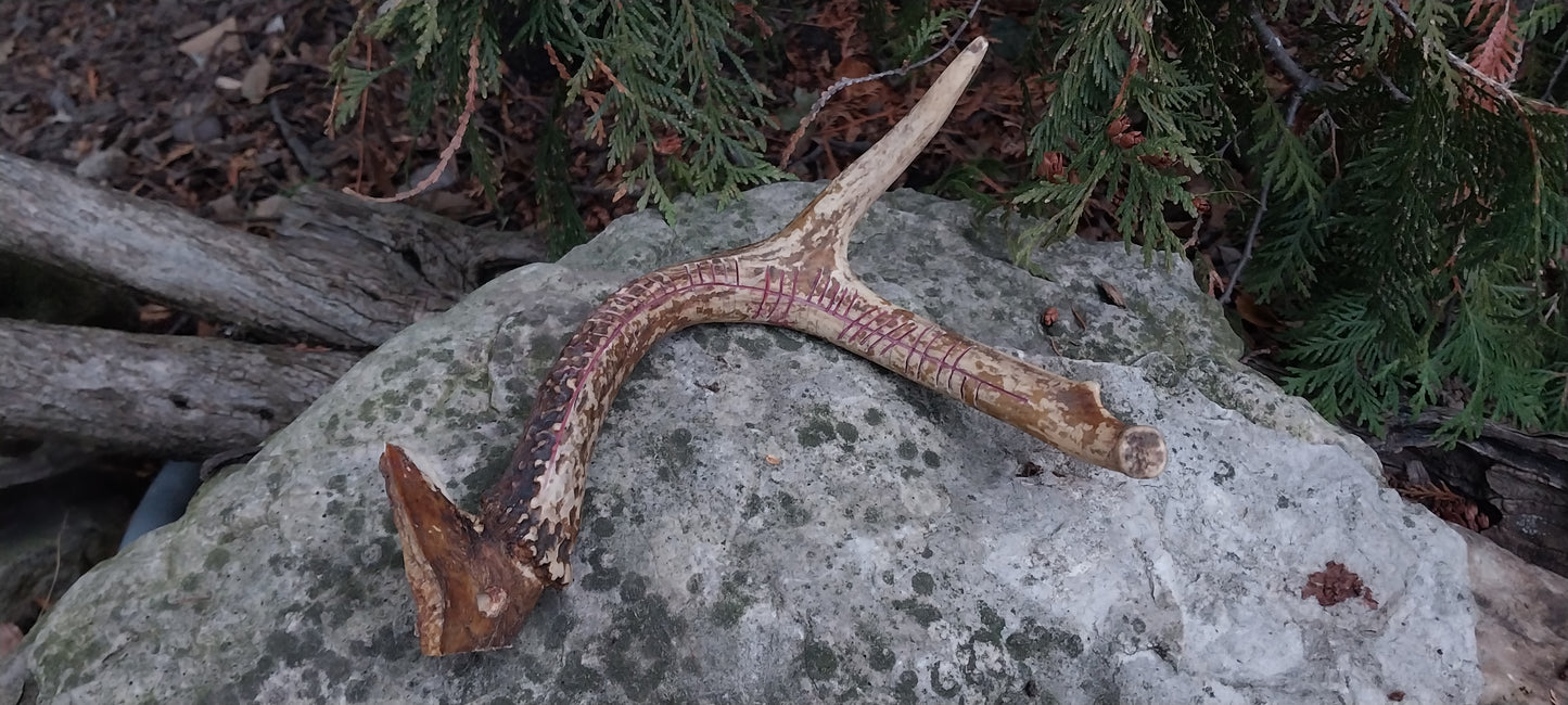 Cernunnos Carved Antler, Red