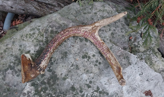 Cernunnos Carved Antler, Red